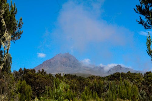 Kilimanjaro hiking