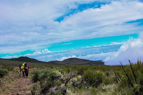 Kilimanjaro hiking