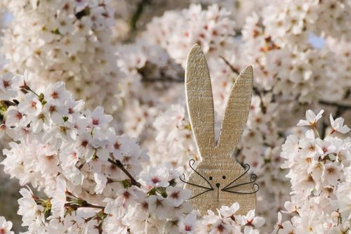 Free A wooden bunny among cherry blossoms, radiating a springtime vibe and Easter charm. Stock Photo