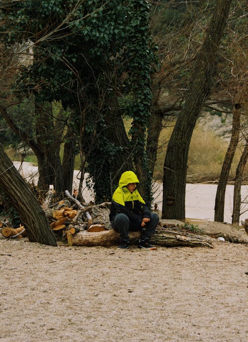 A person sitting on a log in the woods