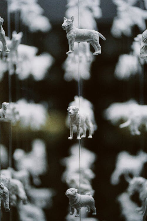 A photo of a display of white dogs