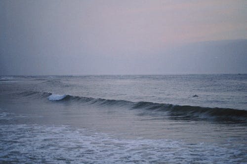 Gratis arkivbilde med bølge, daggry, hav
