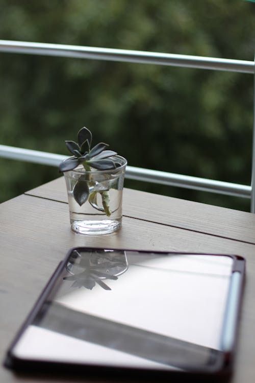 A tablet sits on a table with a plant in it