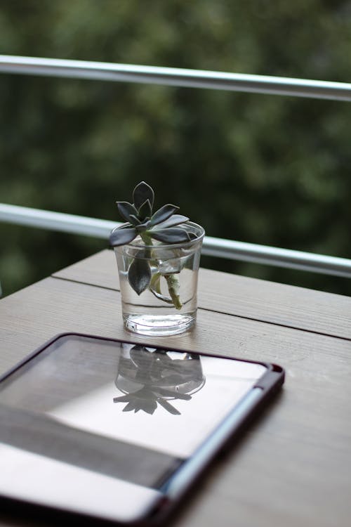 A tablet sits on a table with a plant in it