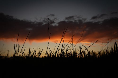 A sunset over grass with clouds in the background