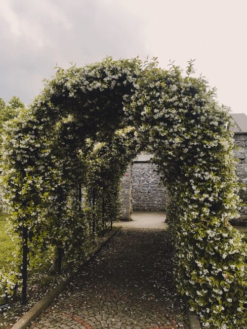Dreamy floral archway entrance with lush greenery and white flowers in a garden.