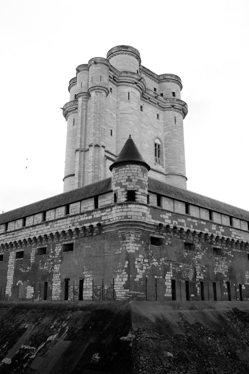 Fotos de stock gratuitas de blanco y negro, castillo, castillo de vincennes