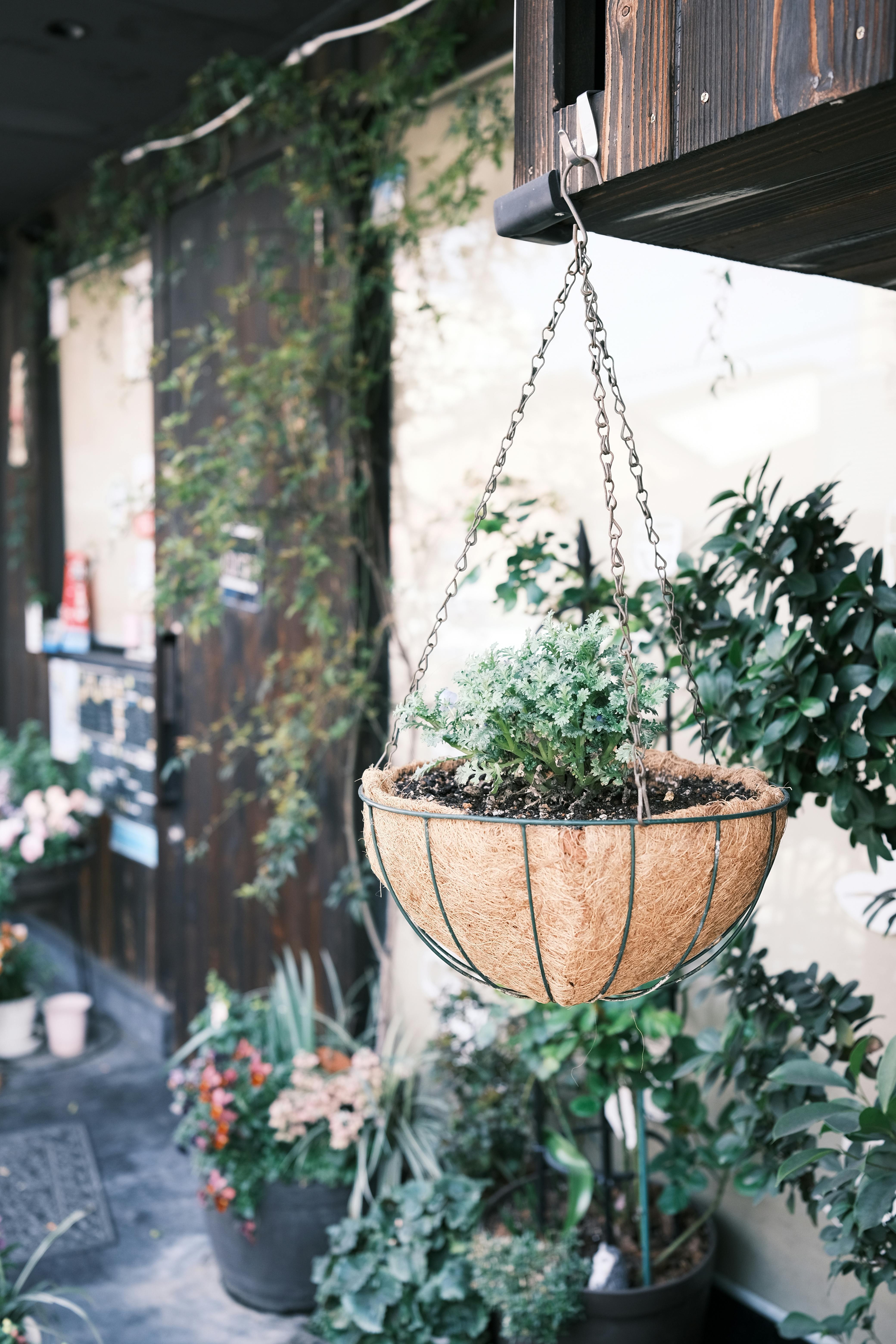DIY hanging basket water reservoir UK