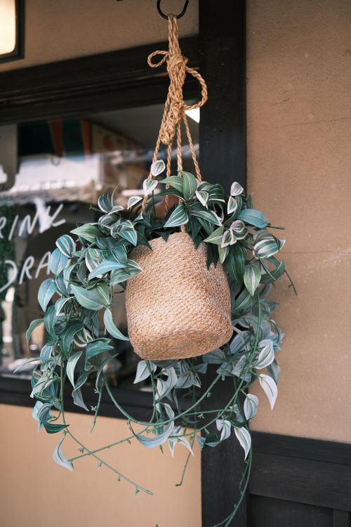 Free Beautiful hanging potted plant in a straw basket, urban Kyoto street. Stock Photo