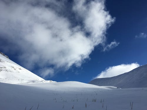 Fotos de stock gratuitas de al aire libre, alto, ascender