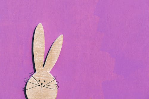 คลังภาพถ่ายฟรี ของ กระต่าย, การตกแต่ง, พื้นหลังสีชมพู