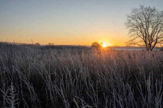 A peaceful winter sunrise over a frosty field in West Newton, highlighting nature's beauty.