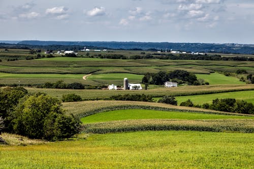 Gratis lagerfoto af agerjord, bakke, baner