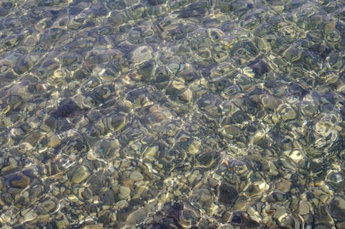 Бесплатное стоковое фото с вода, галька, отражение