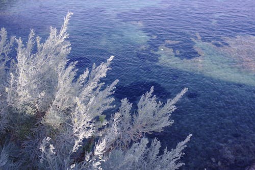 Immagine gratuita di acqua, azzurro, corfu