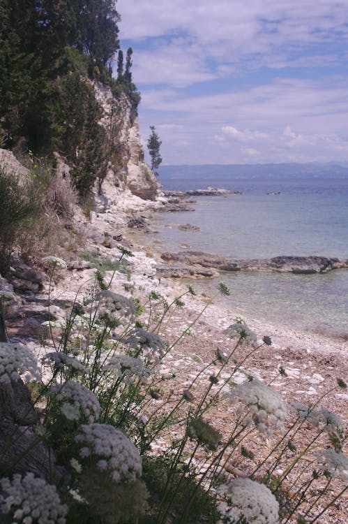 Бесплатное стоковое фото с берег, корфу, море