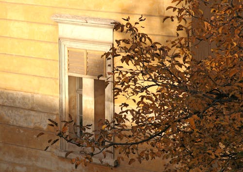 Corfu Window