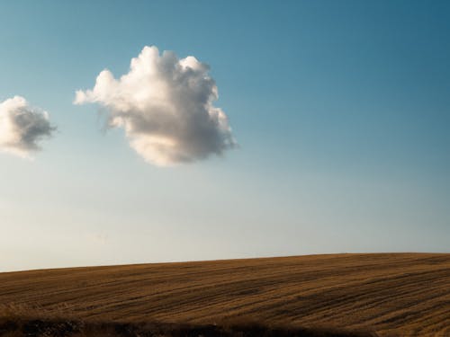cloud on a fertile land