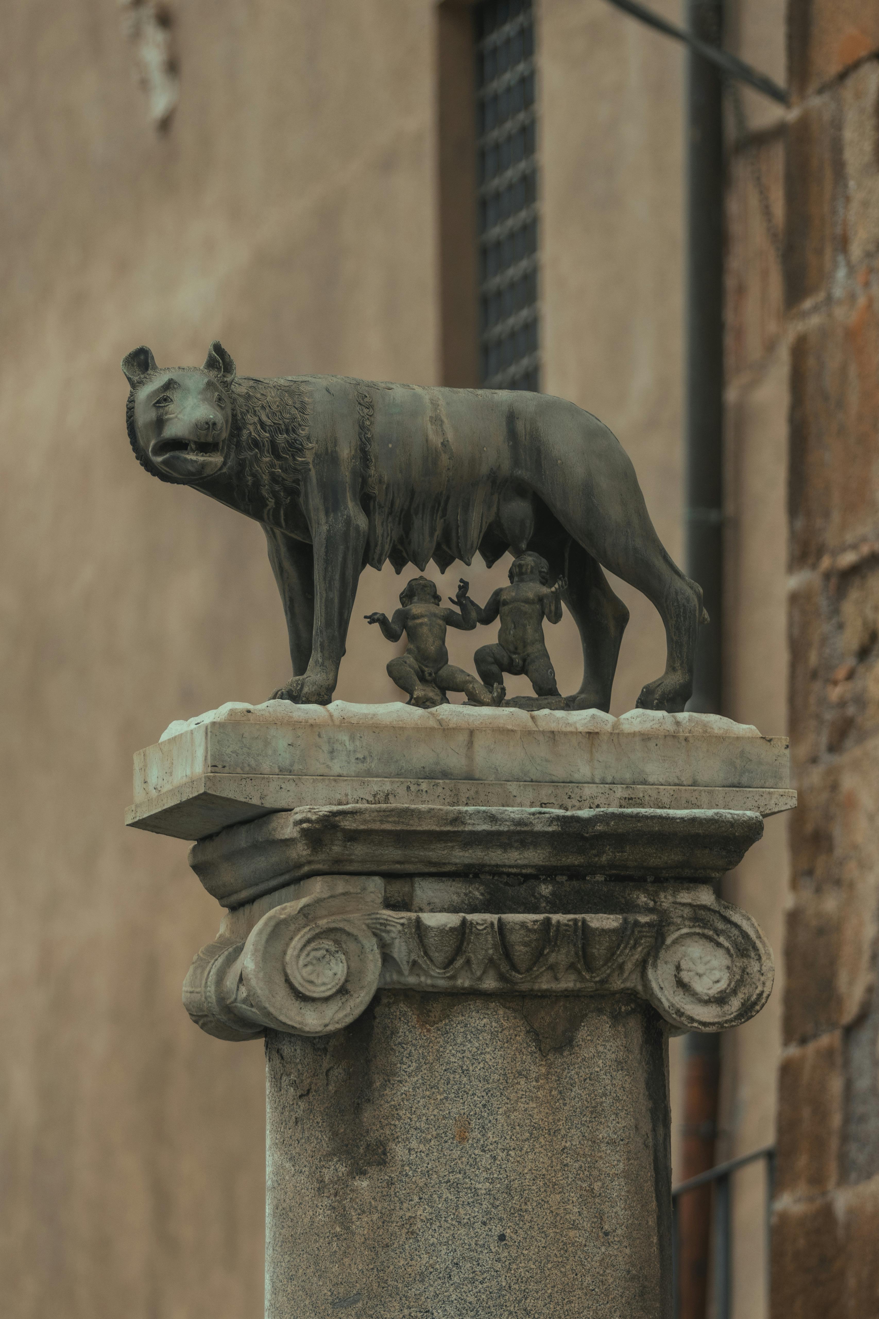 Wolf Statue Photos, Download The BEST Free Wolf Statue Stock Photos