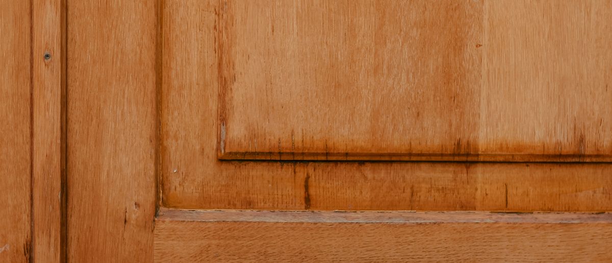 Dog stepping through a pet door flap installed in an exterior door