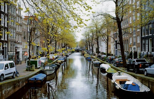 A canal with boats and trees
