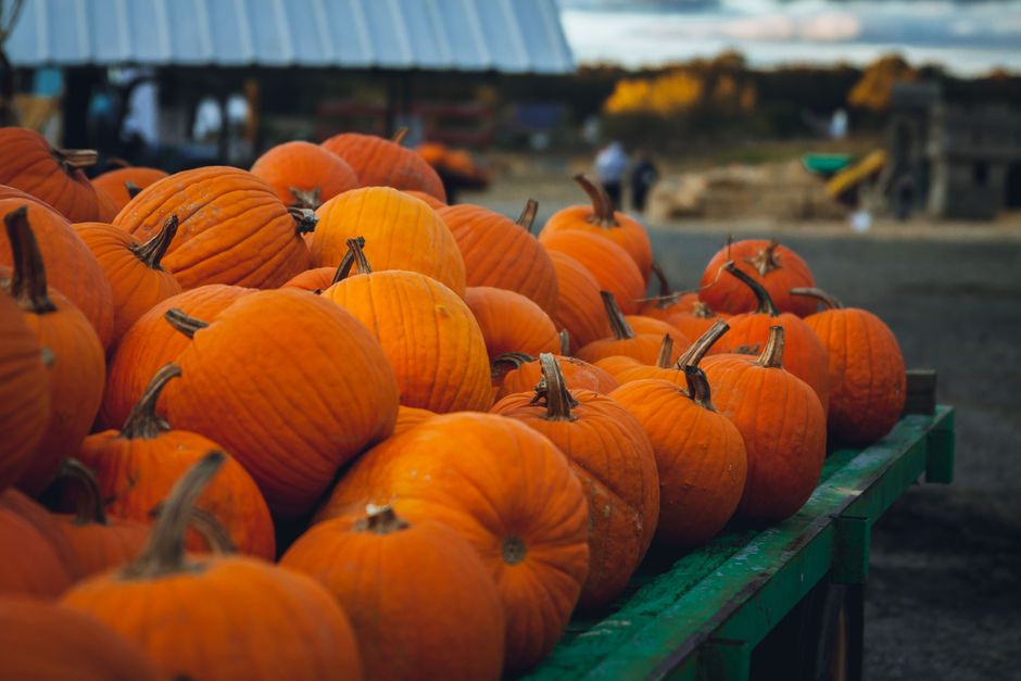 Bright orange pumpkins at an outdoor market during fall, showcasing harvest abundance.