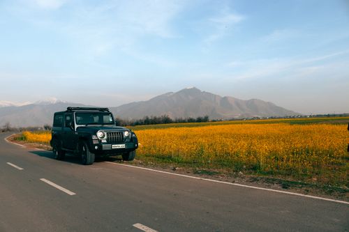 Free Mahindra Thar parked by a vibrant yellow field under a clear blue sky in Kashmir, India. Stock Photo
