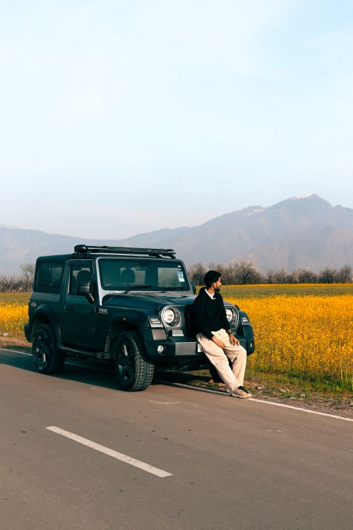 Free A man sits on a pick-up truck by a rural road with a backdrop of yellow flower fields and mountains. Stock Photo