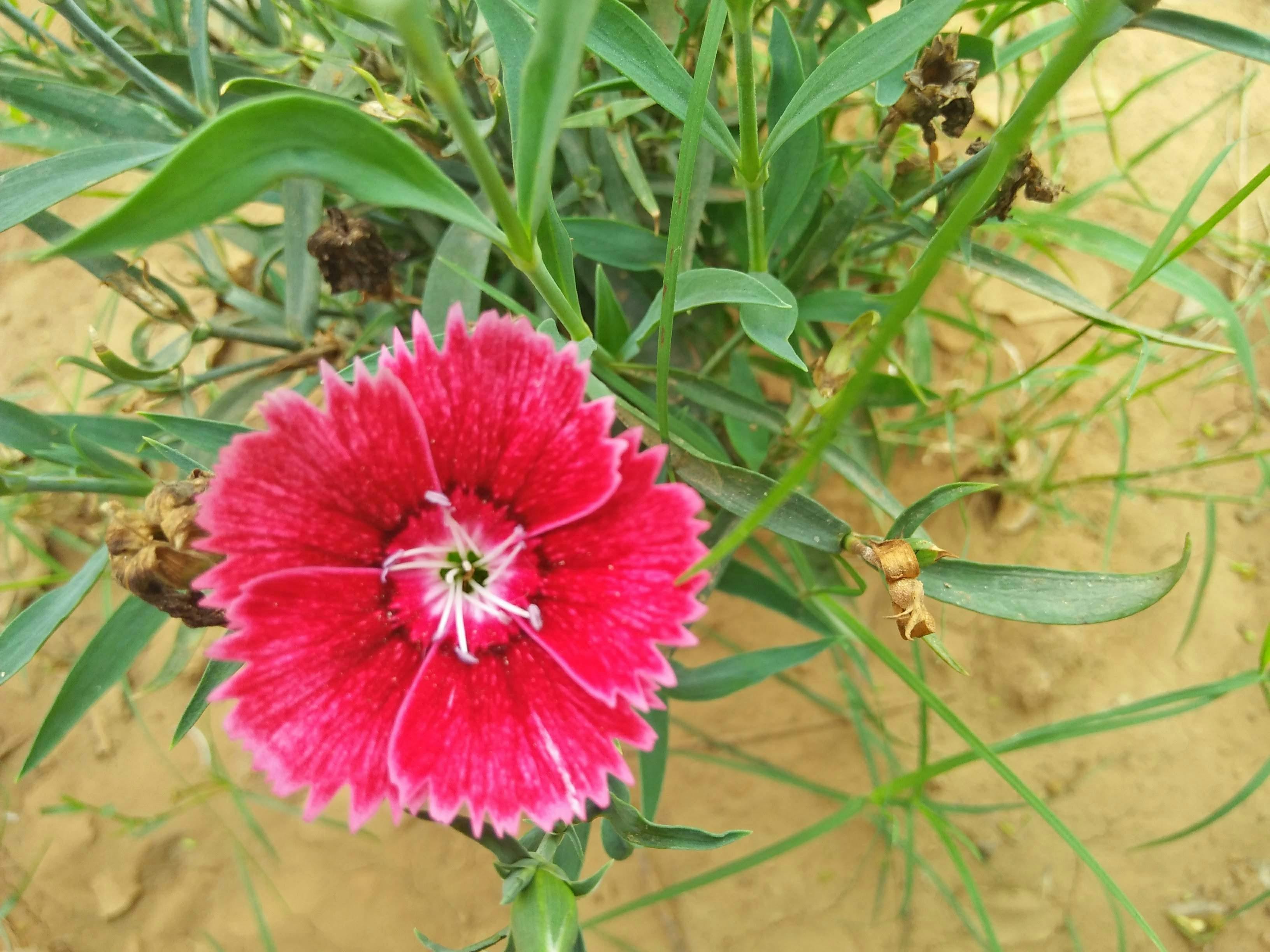 Installation de serrures