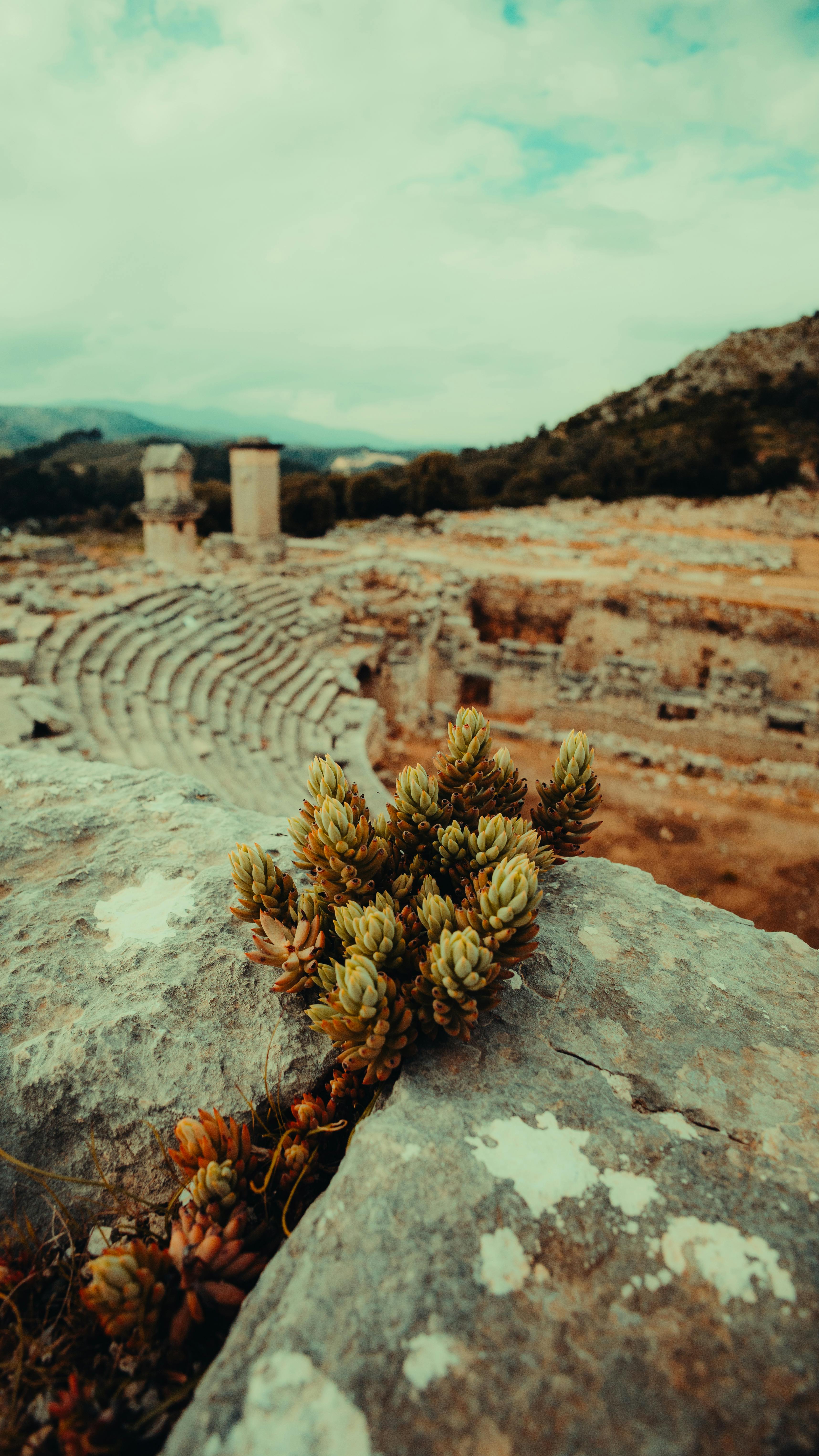 Ücretsiz açık hava harabeleri, Akdeniz, akdeniz harabesi içeren Ücretsiz stok fotoğraf Stok Fotoğraflar