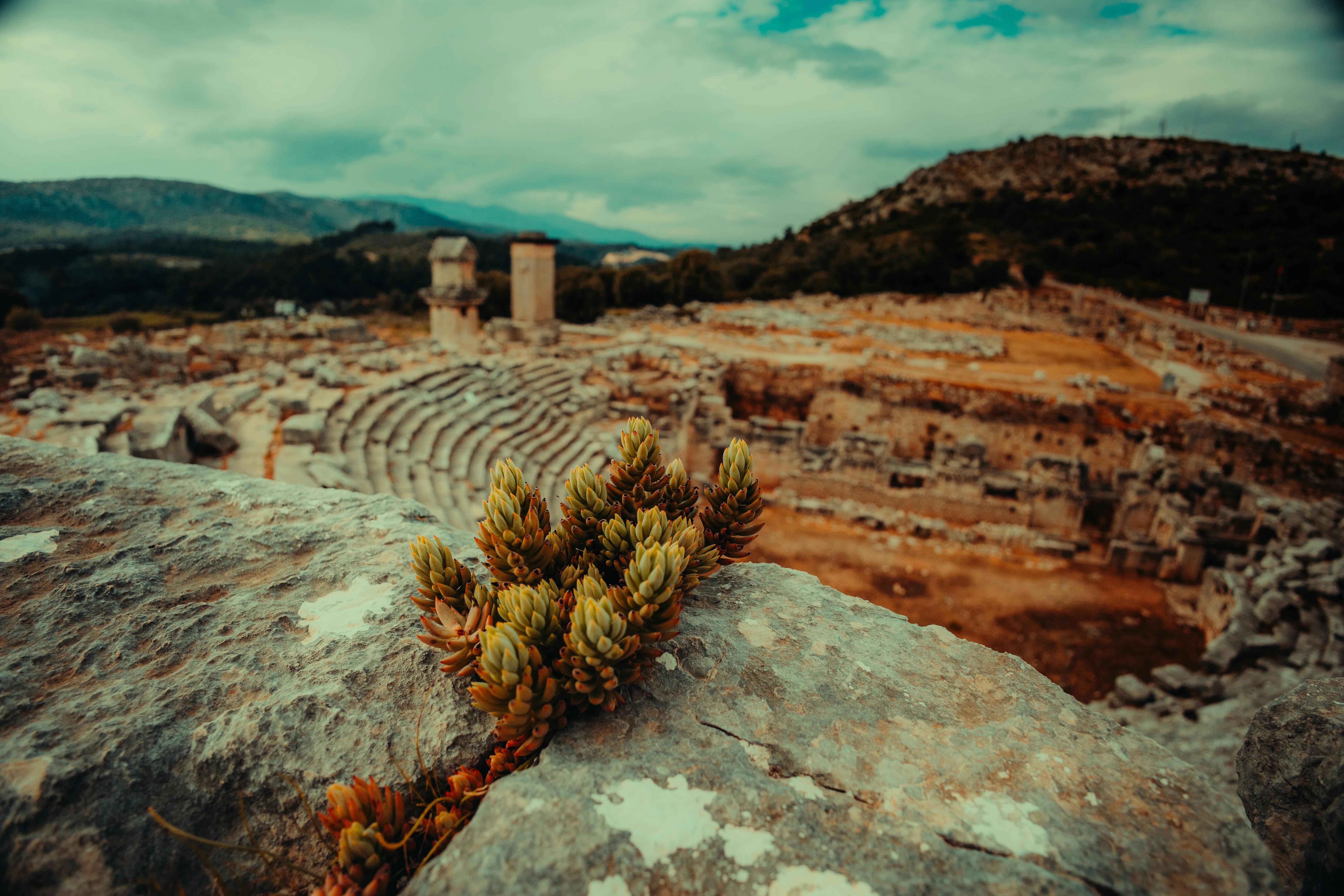 Free Ancient theater ruins with a succulent plant in focus, showcasing historical architecture. Stock Photo