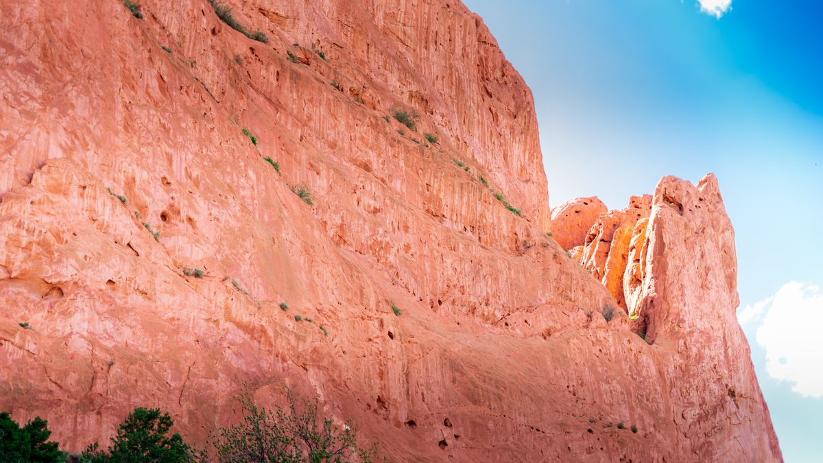 Colorado Springs, CO Pet Product Giveaways Near Me: Where to Find Legit Deals