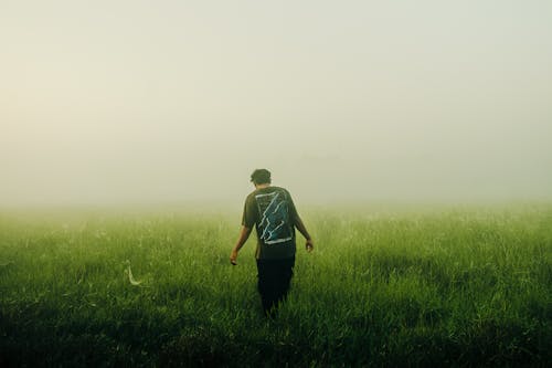 A man walking through a foggy field