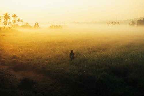 A person walking through a field at sunset