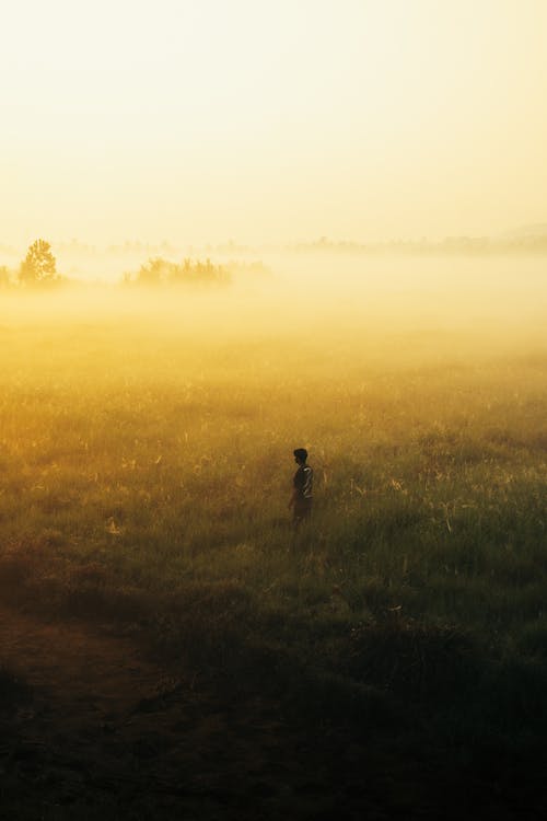 A person standing in a field with a foggy sky