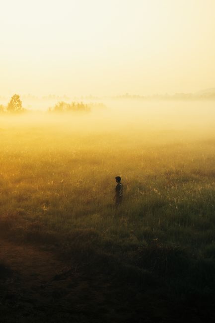 A lone person stands in a misty rural field, enveloped in warm sunset light.