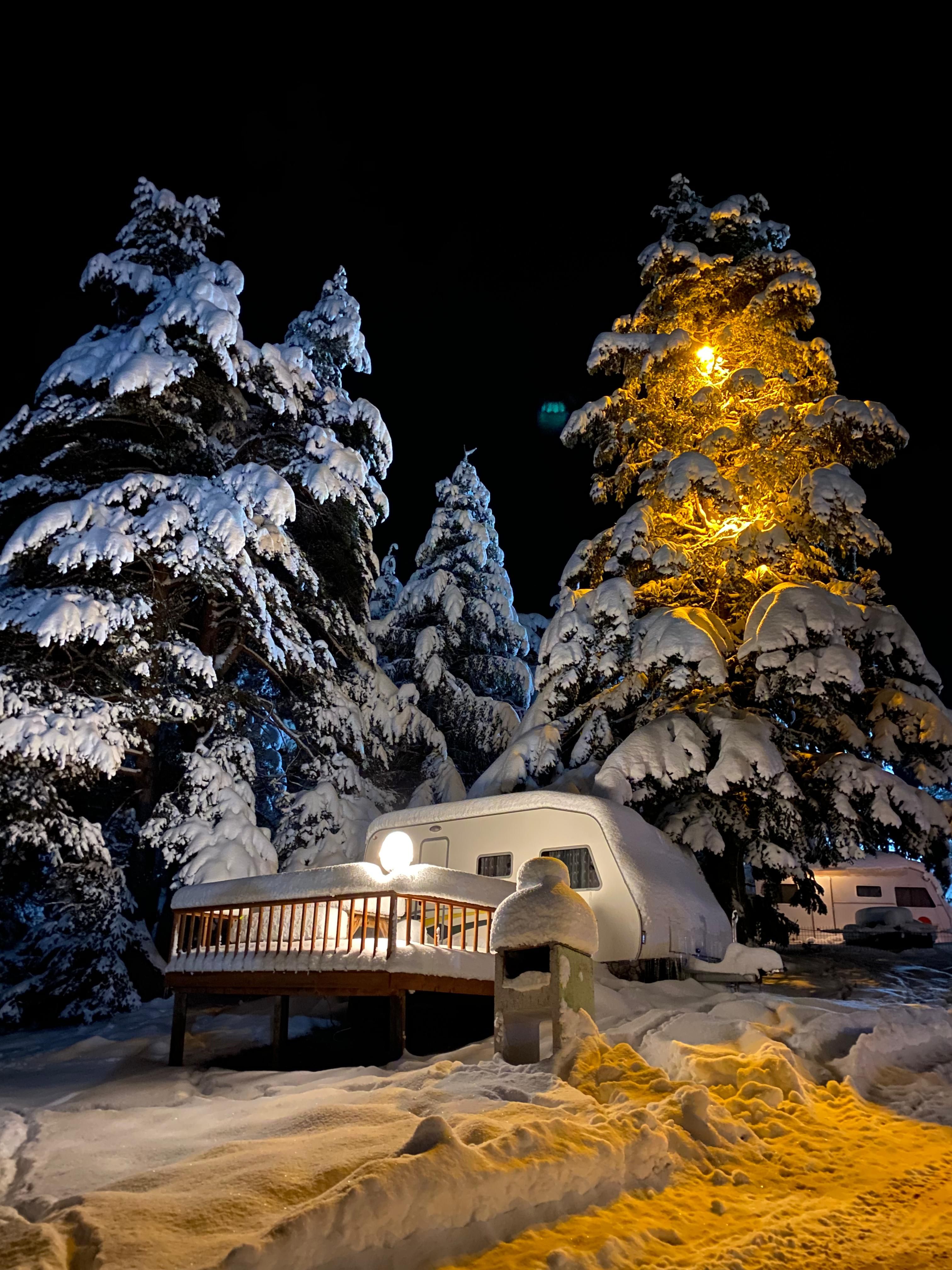 View of Camping Trailers in a Forest in Winter · Free Stock Photo