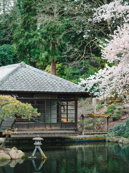 Základová fotografie zdarma na téma budova, dřevěná chatka, japonská zahrada