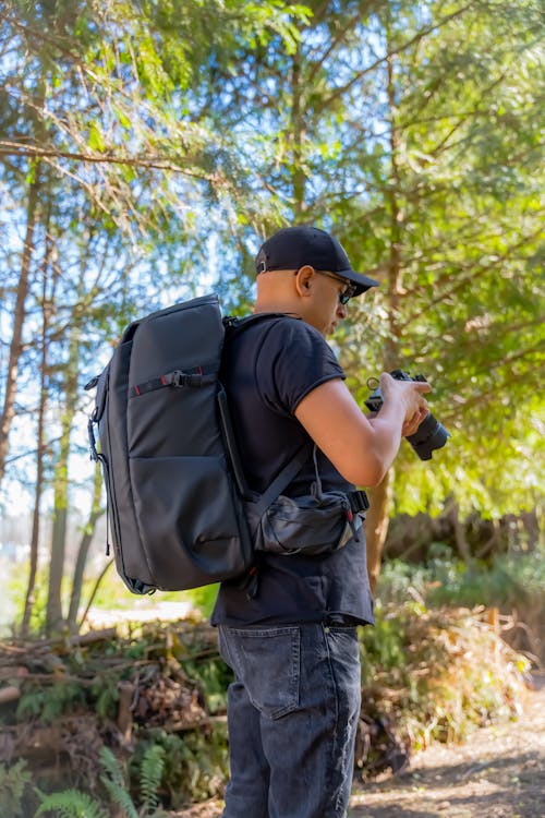 Immagine gratuita di alberi, berretto, borsa