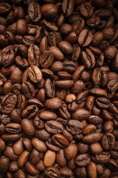 Mocha Premium Fresh Mocha Coffee