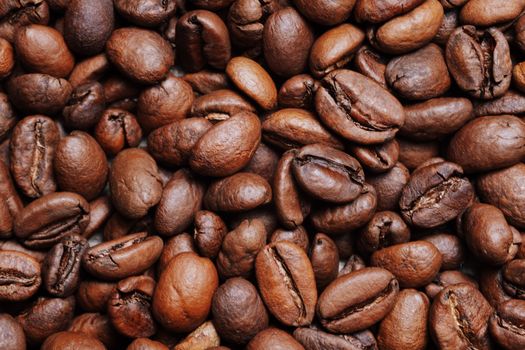 A detailed close-up of roasted coffee beans showcasing texture and richness.