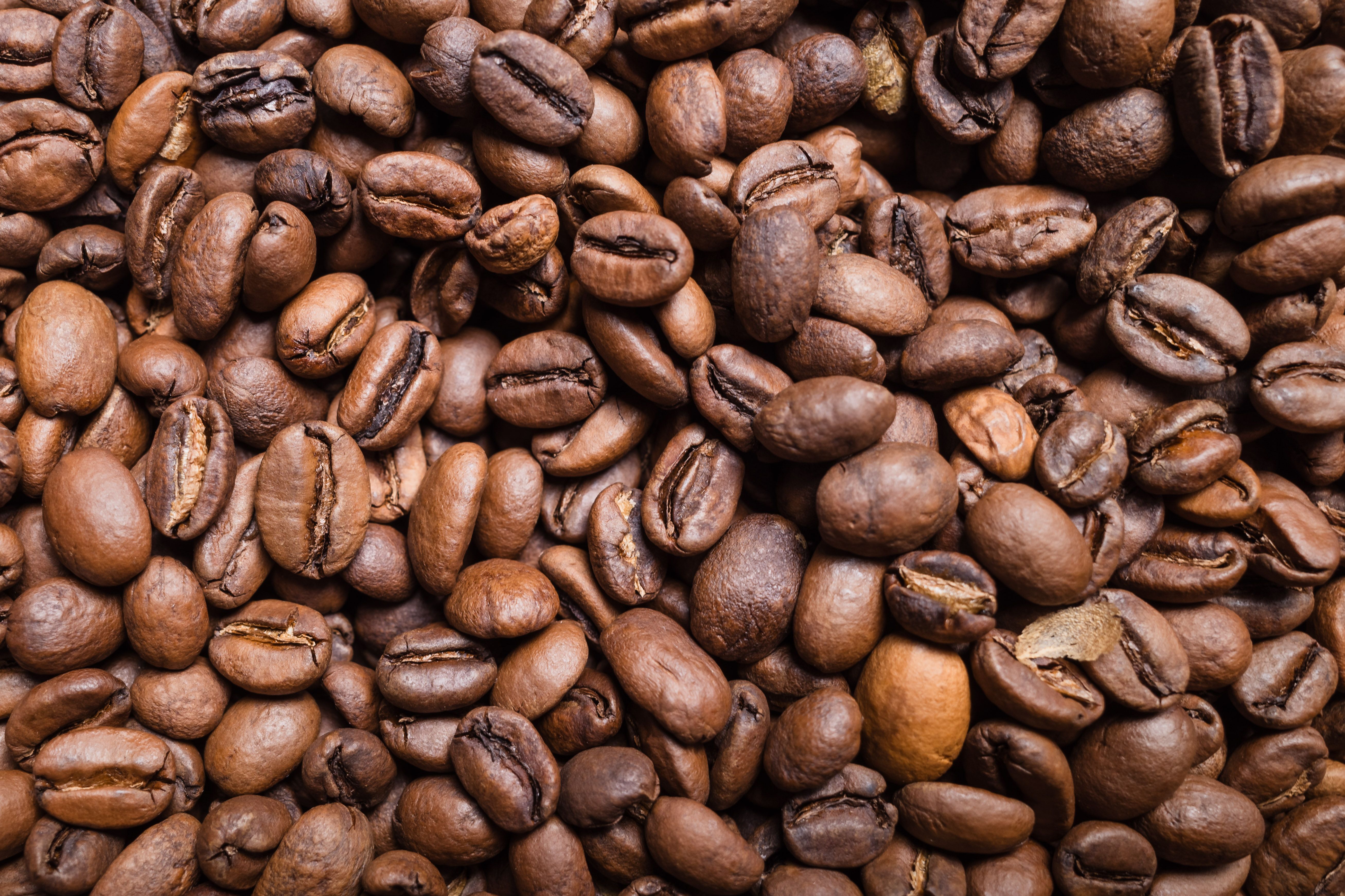 single origin coffee vs blend