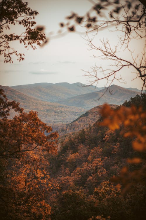 Mountain Valley in Autumn 