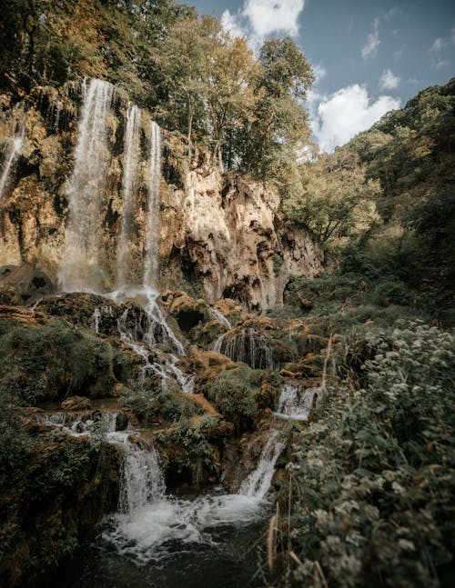 A waterfall in the woods with trees and grass