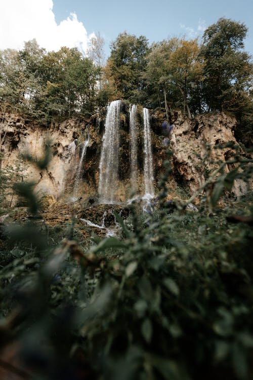 A waterfall in the woods with trees and bushes