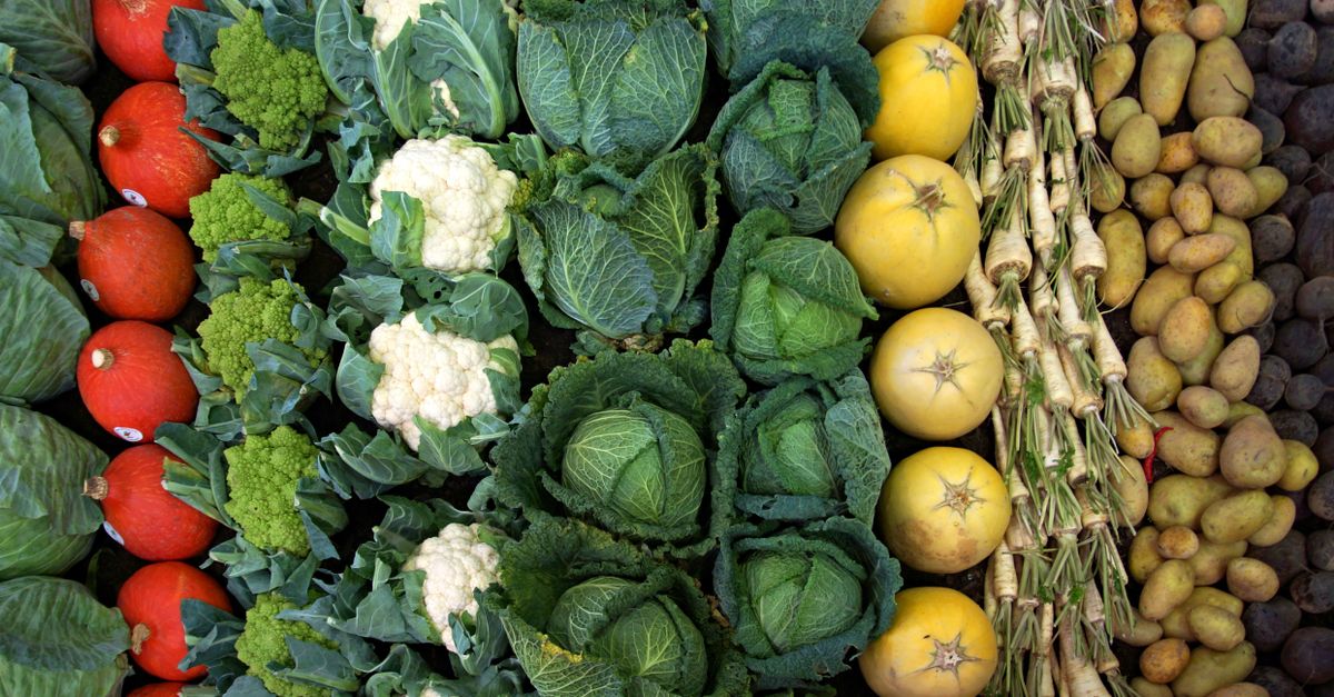 FODMAP: when it helps and how to avoid deficiencies FODMAP: when it helps and how to avoid deficiencies