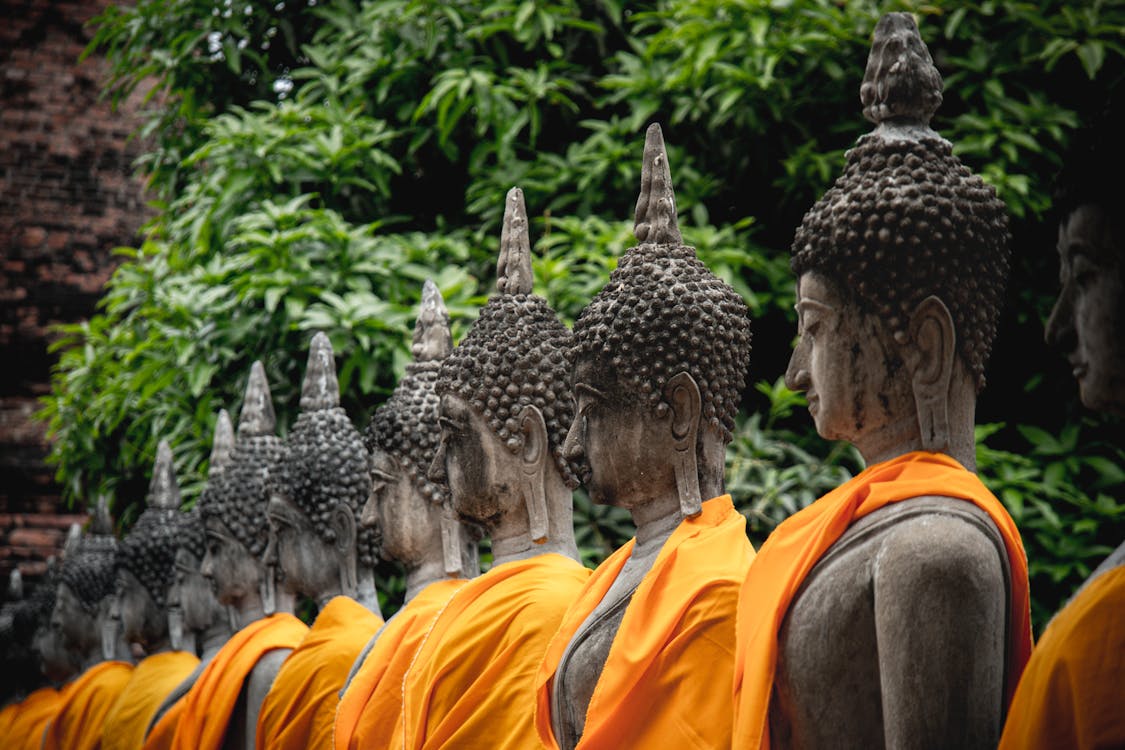 Бесплатное стоковое фото с Буддизм, буддист, выстроились