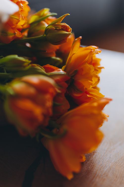 Free Close-up of a vibrant orange tulip bouquet on a wooden surface with soft lighting. Stock Photo