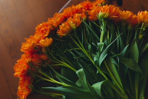 Orange flowers on a wooden table