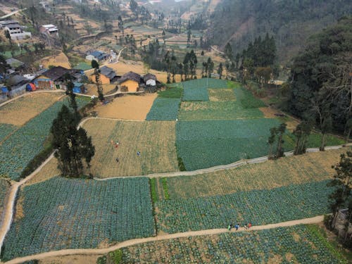 An aerial view of a village with green fields